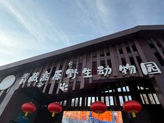 -青藏高原野生动物园