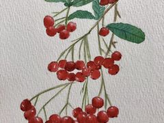 -信马画室 成人零基础到个人创作画室(亚运村店)