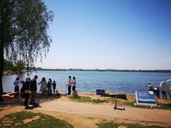 -丁香湖公园