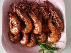 -好孕妈妈月嫂(哈尔滨总店)