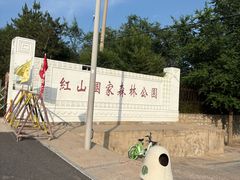 -红山国家森林公园