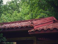 -九曲溪竹筏码头