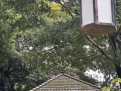 -天目湖涵田度假村