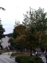 -天津市儿童医院(北辰龙岩院区)