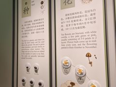 -中国茶叶博物馆(双峰馆区)