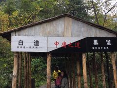 -青峰峡国家森林公园