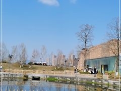 -洋湖国家湿地公园