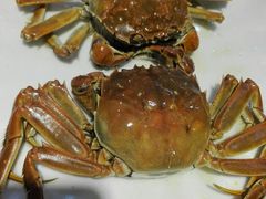 -茂港柏香(侨港路店)
