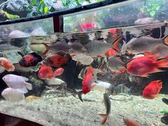 -太平洋海底世界