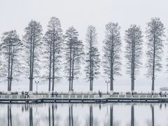 -东湖听涛景区