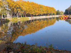 -泰州凤城河风景区-泰山公园