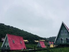 -关山草原