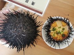 活海胆-海胆小馆(春柳店)