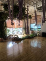 -花间禅净·瑜伽