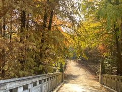 -上海海湾国家森林公园