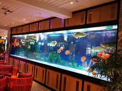 -弘安丽水温泉酒店