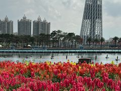 -海心沙亚运公园