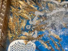 -盒马鲜生(杭州运河上街店)