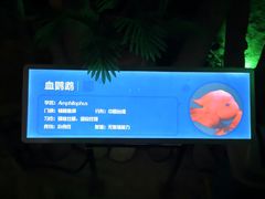 -洛阳龙门海洋馆