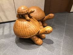 -香港尖沙咀凯悦酒店