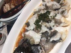 清蒸石斑鱼-花城粤菜餐厅(高新区店)