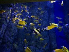 -成都浩海立方海洋公园