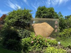 -吴淞炮台湾湿地森林公园烧烤区