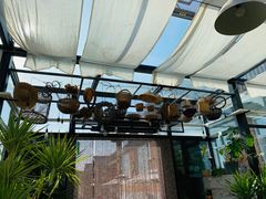 -北马山庄植趣咖啡