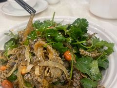 凉拌鱼皮-汇兴源餐馆(小北路店)