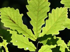-终南山南五台景区