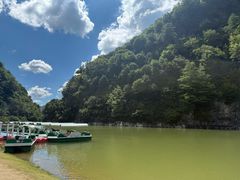 -狮子沟牧场