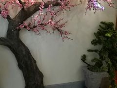 -精典一号民间菜