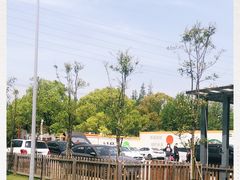 -前小桔亲子创意农场·草莓采摘·露营烧烤