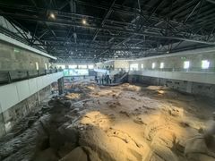 -自贡恐龙博物馆