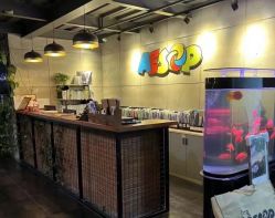 -iplus爱家高端孕妇摄影