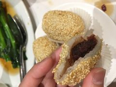 -食为先(Shark Fin)
