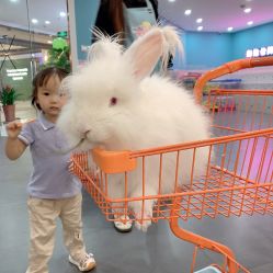 -Moni星球萌宠·小马宝莉·灵蛇·高端高阶全萌宠互动体验俱乐部(红豆国际广场店)