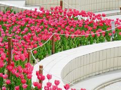 -朝阳公园