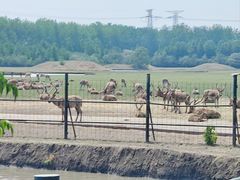 -溱湖国家湿地公园