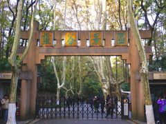 -灵谷景区