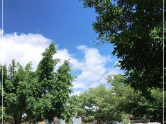 -元谋浪巴铺土林景区