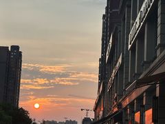 -二荆条·蜀鲜汇城市森林火锅