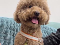 -佳雯宠物医院·皮肤科·内外科(春晓路分院)