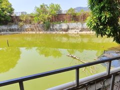 -农家小院土菜馆(斩坑桥店)