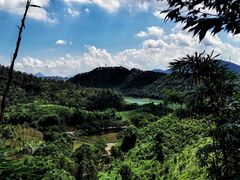 -田心森林公园