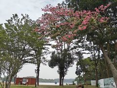 -美的鹭湖森林度假区