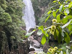 -龙湾潭国家森林公园