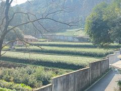 -随意茶庄·地道杭帮农家菜(梅家坞店)