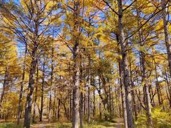 -长春市南湖公园