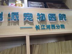 -瑞派长江宠物医院·猫科·外科·24小时夜护(谊城公寓分院)